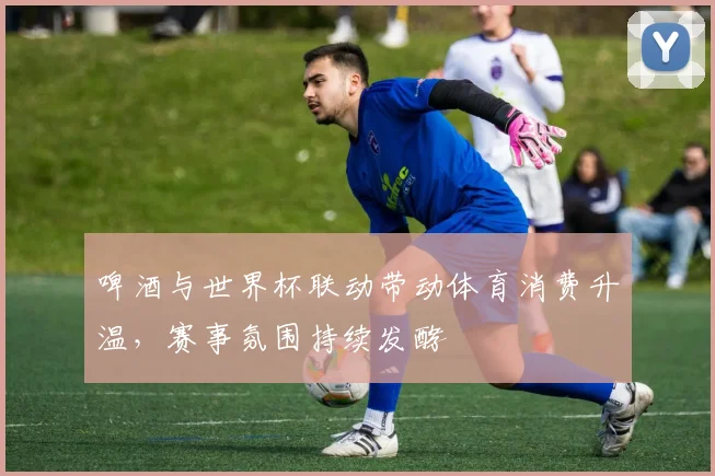 啤酒与世界杯联动带动体育消费升温,赛事氛围持续发酵